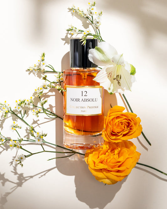 Noir Absolu N°12 : Plongée dans la Matière Noire en Parfumerie de Luxe