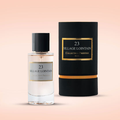 Sillage Lointain N°23 - Ambiance